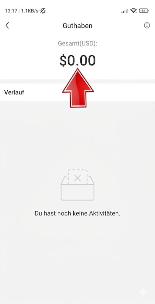 Guthaben auf Temu überprüfen 5