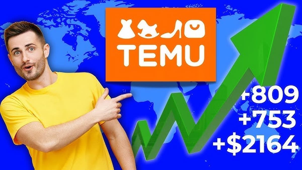 Kann man mit Temu Geld verdienen?