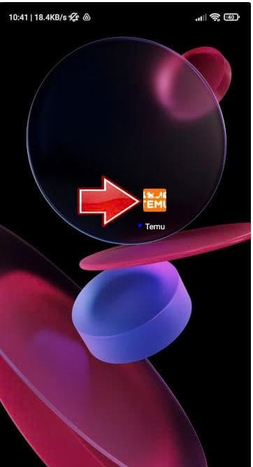 So ändern Sie das Passwort in Temu 1