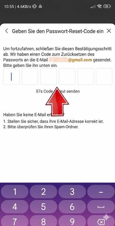 So setzen Sie Ihr Passwort bei Temu zurück 6