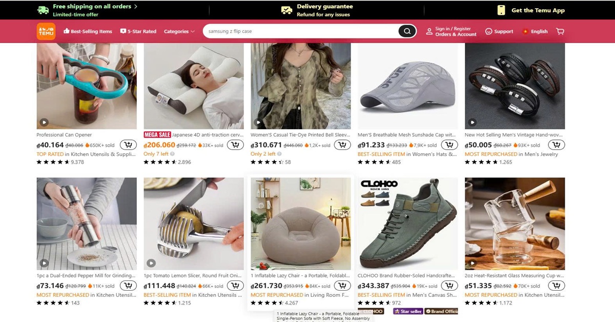 Warum ist Temu so günstig 2