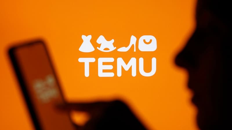Ist Temu die 'internationale Version' von TikTok Shop 1